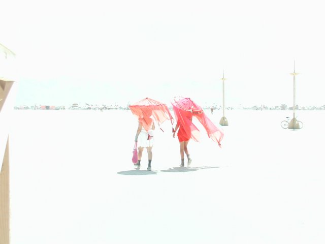 p8310054.jpg