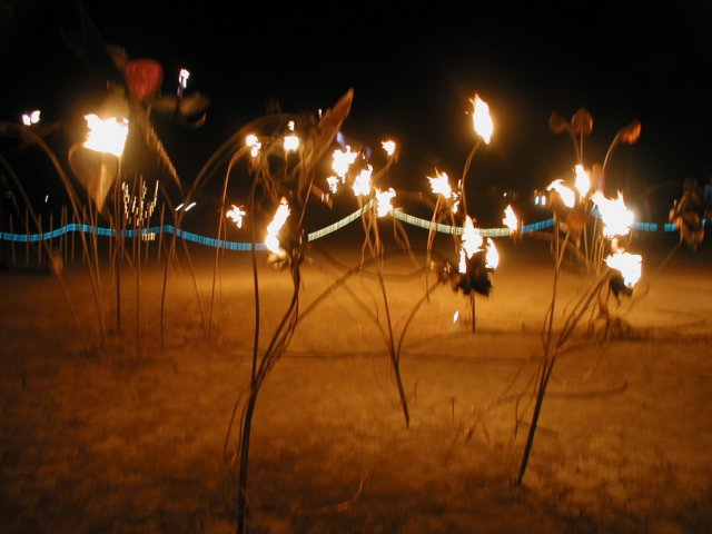 p8300040.jpg