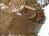 p8310090_small.jpg