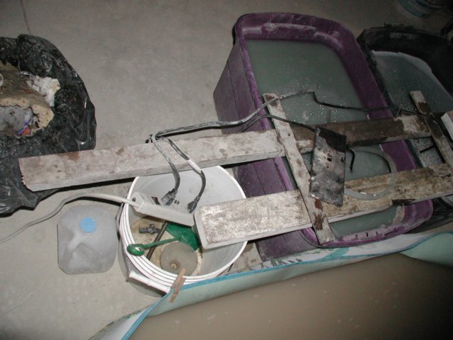 p9010041.jpg