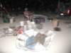 p9010057_small.jpg