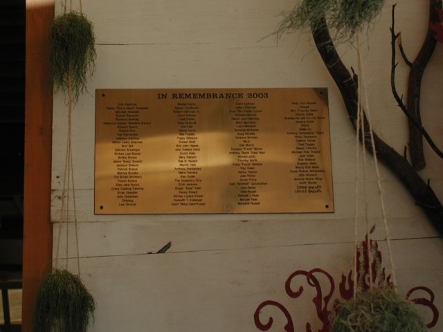 p8290006.jpg