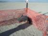 trashfence3_small.jpg