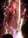 p1010067_small.jpg