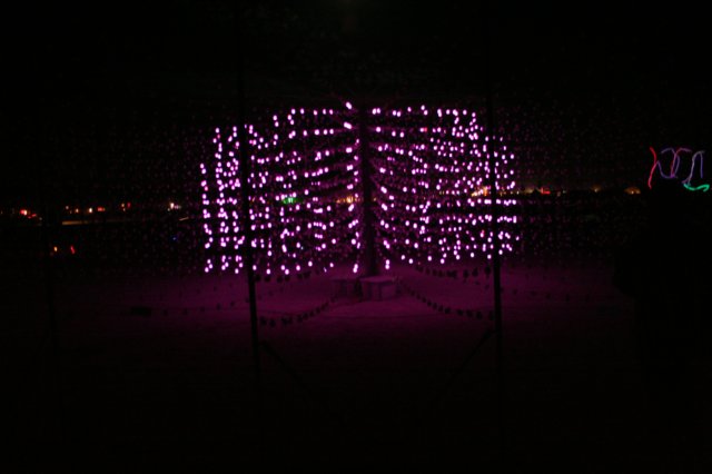 bm3265.jpg