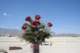 img058_small.jpg