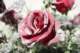 img060_small.jpg