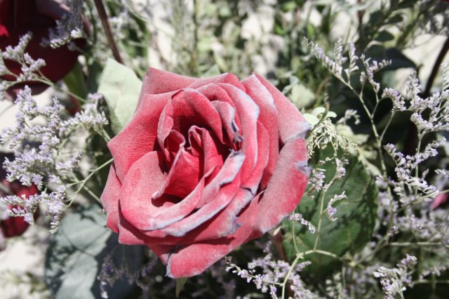 img061.jpg
