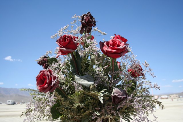 img063.jpg