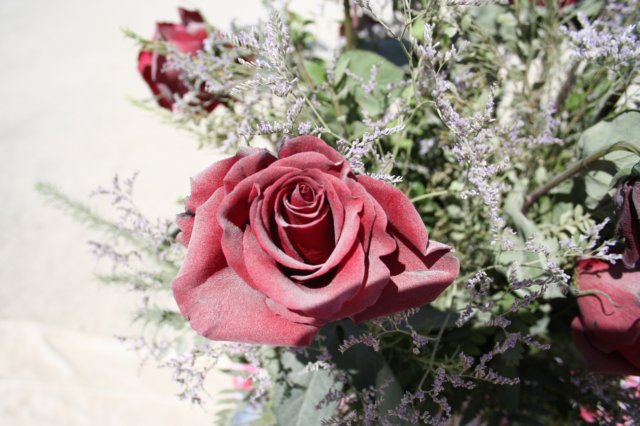 img064.jpg