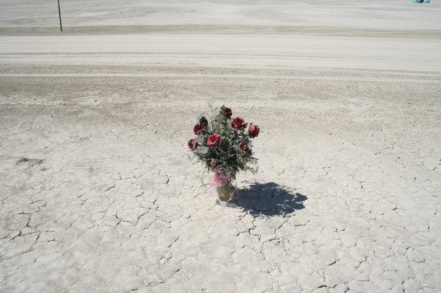 img066.jpg