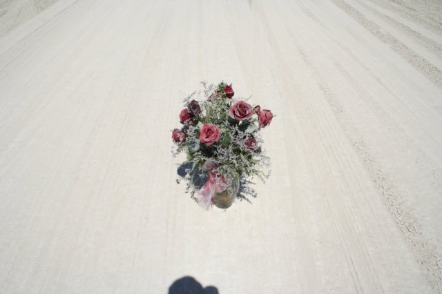 img072.jpg