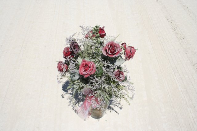 img074.jpg