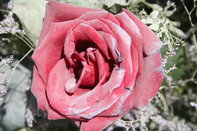 img079.jpg