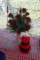 img_1700_small.jpg