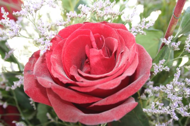 img_1702.jpg