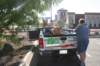 bm2008014_small.jpg