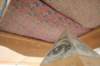 bm20080232_small.jpg