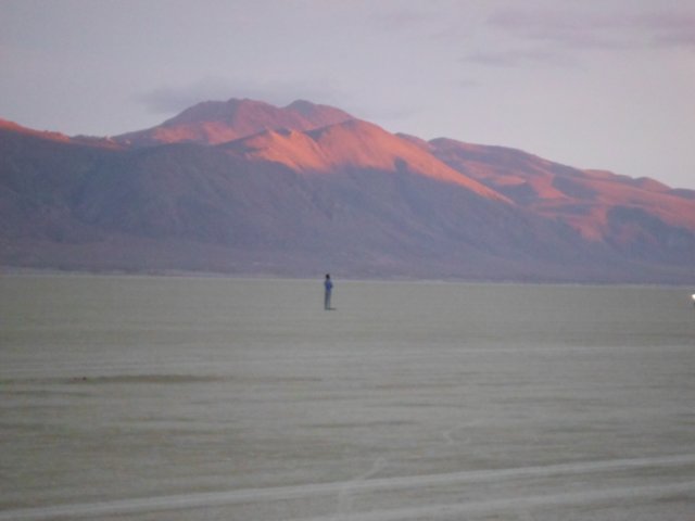 loneindigoagainstthesunset.jpg