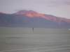 loneindigoagainstthesunset_small.jpg