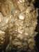 bman3078_small.jpg
