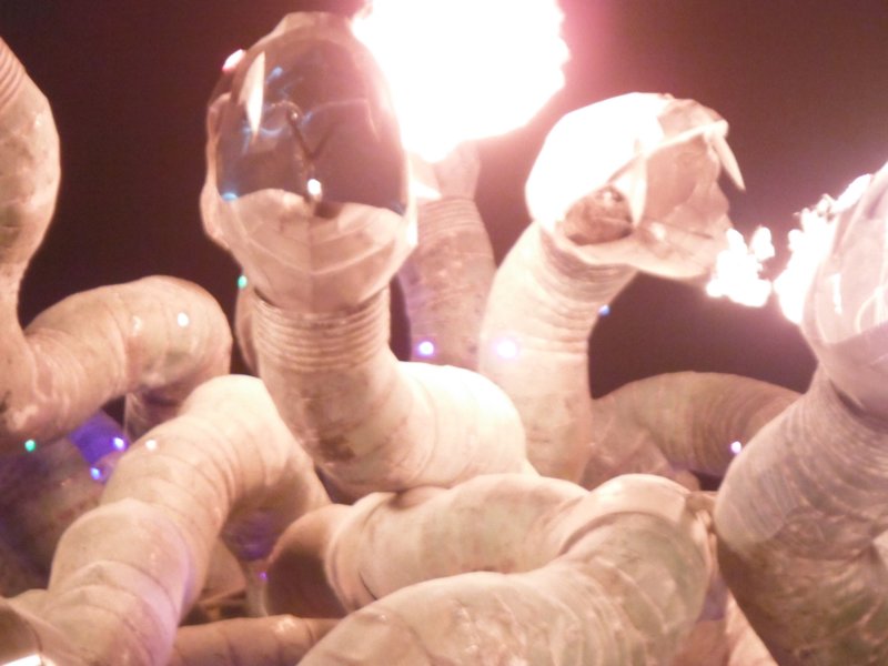 dscf2655.jpg