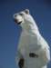 dscf3252_small.jpg