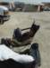 dscf3287_small.jpg