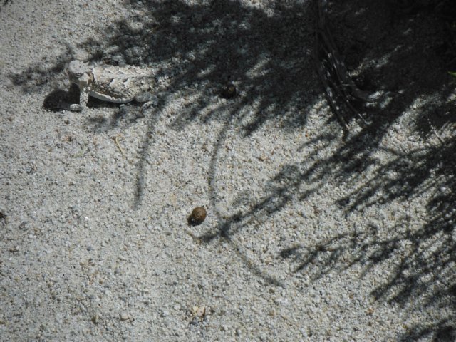 dscf2373.jpg
