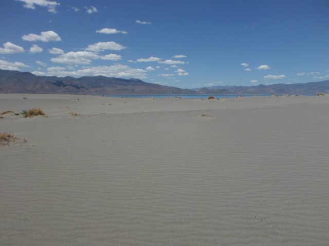 dscf2389.jpg